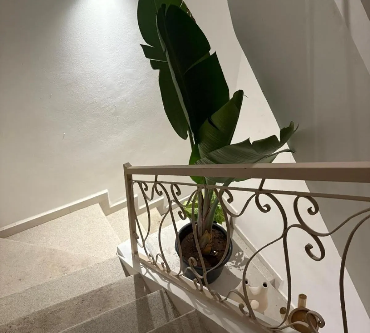 Maison 3 Chambre Avec Bassin Chauffee Centre Ville Gueliz Marrakesh