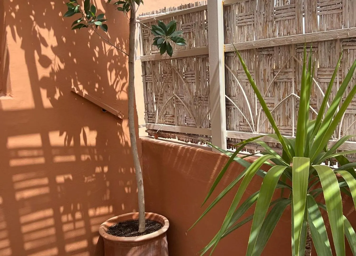 Maison 3 Chambre Avec Bassin Chauffee Centre Ville Gueliz Marrakesh
